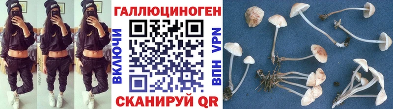 Псилоцибиновые грибы GOLDEN TEACHER  дарнет шоп  маркетплейс наркотические препараты  Рыльск 
